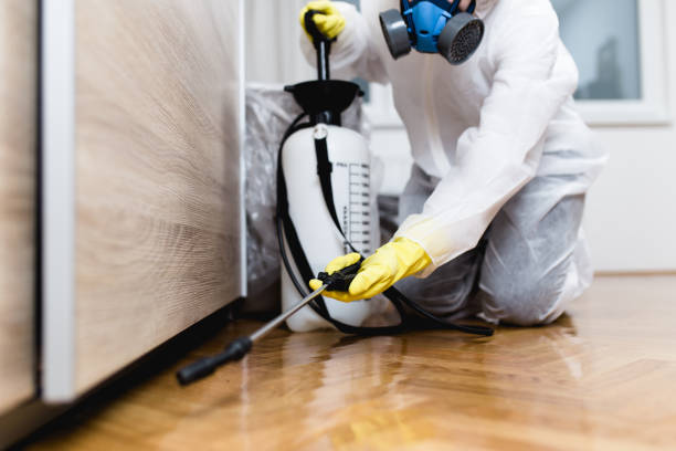 Best Rat Extermination Near Me  in Uniontown, PA