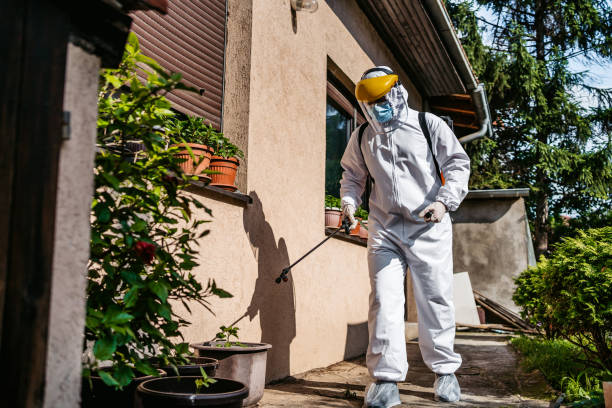 Best Pest Prevention Services  in Uniontown, PA