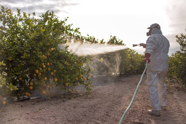 Best Pest Inspection Near Me  in Uniontown, PA
